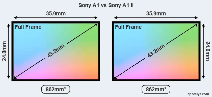 Sony A1 and Sony A1 II sensor measures
