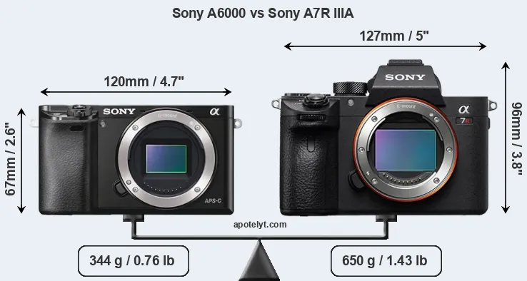 Size Sony A6000 vs Sony A7R IIIA