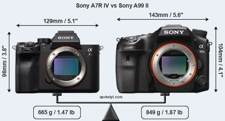 Size Sony A7R IV vs Sony A99 II