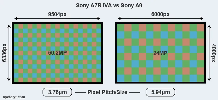 A7R IVA versus A9 MP