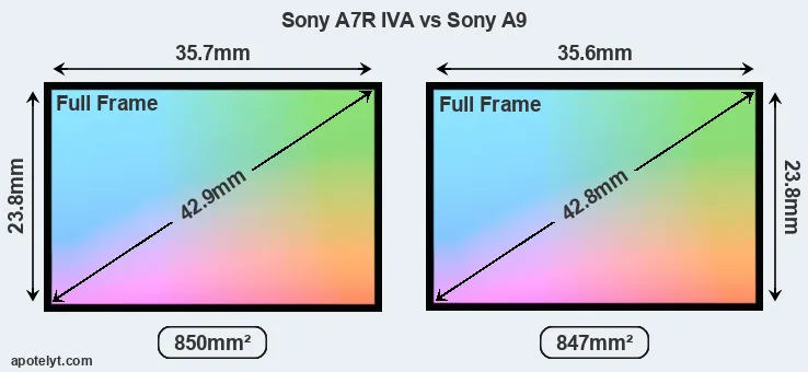 Sony A7R IVA and Sony A9 sensor measures