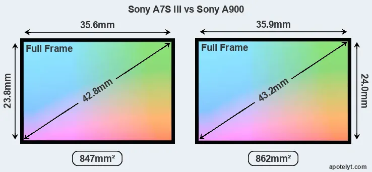 Sony A7S III and Sony A900 sensor measures