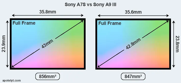 Sony A7S and Sony A9 III sensor measures